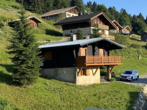 Chalet cosy à Crest-Voland – 6 personnes, cuisine équipée, salon TV, proche pistes et nature - FR-1-733-154